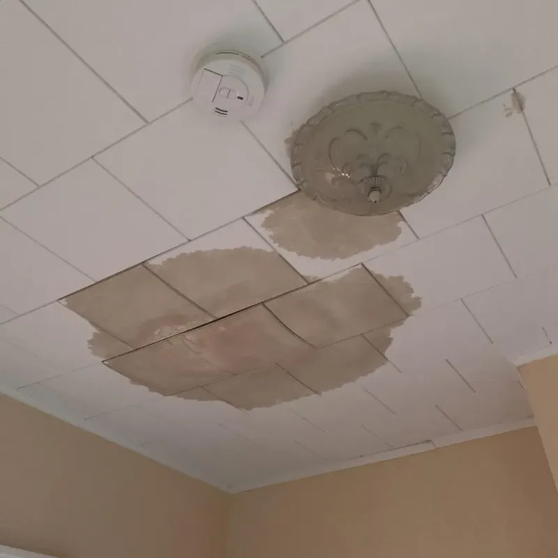 Ceiling Water Damage Repair in Wabaunsee County, KS