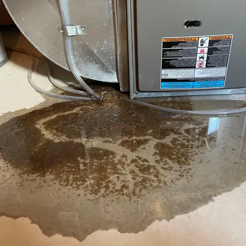 Pipe Burst and Leak Restoration in Wabaunsee County, KS