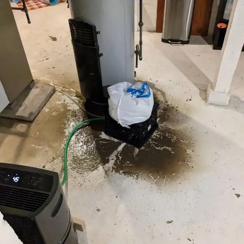 Sewage Backup Cleanup Service in Wabaunsee County, KS